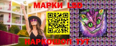 мет Камышлов