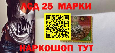 прущие грибы Кандалакша