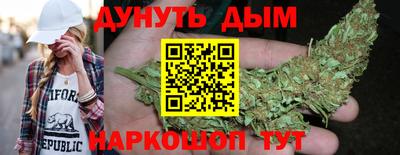 прущие грибы Кандалакша
