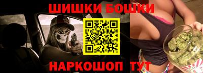 прущие грибы Кандалакша
